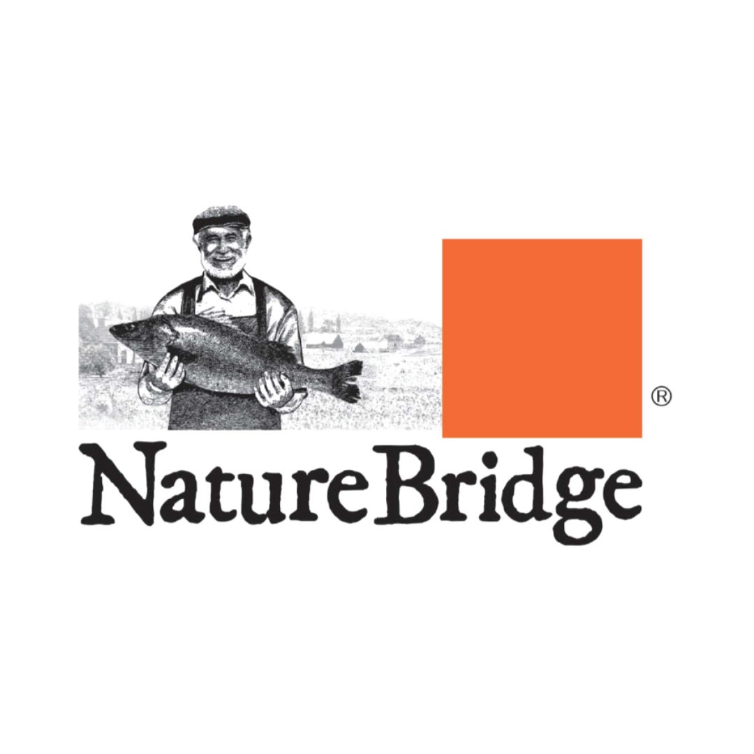 Nature Bridge Cat