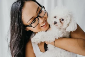Panduan Cara Merawat Anjing Poodle bagi Pemula cara merawat anjing poodle