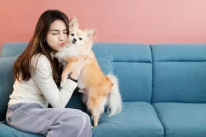 Mengenal Penyakit Demodex pada Anjing dan Cara Mengobatinya demodex pada anjing