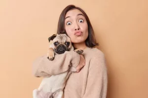 Sterilisasi Anjing: Manfaat bagi Kesehatan dan Efek Samping yang Harus Diketahui sterilisasi anjing